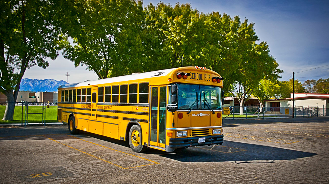 autobuses escolares americanos