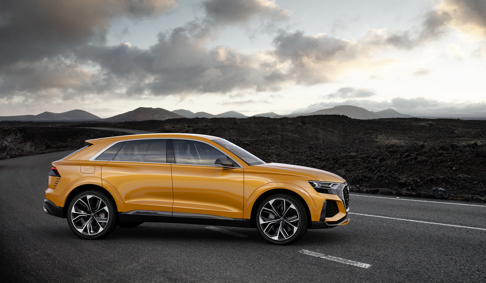 Audi Q8 sport Concept