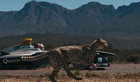 Fórmula E contra guepardo