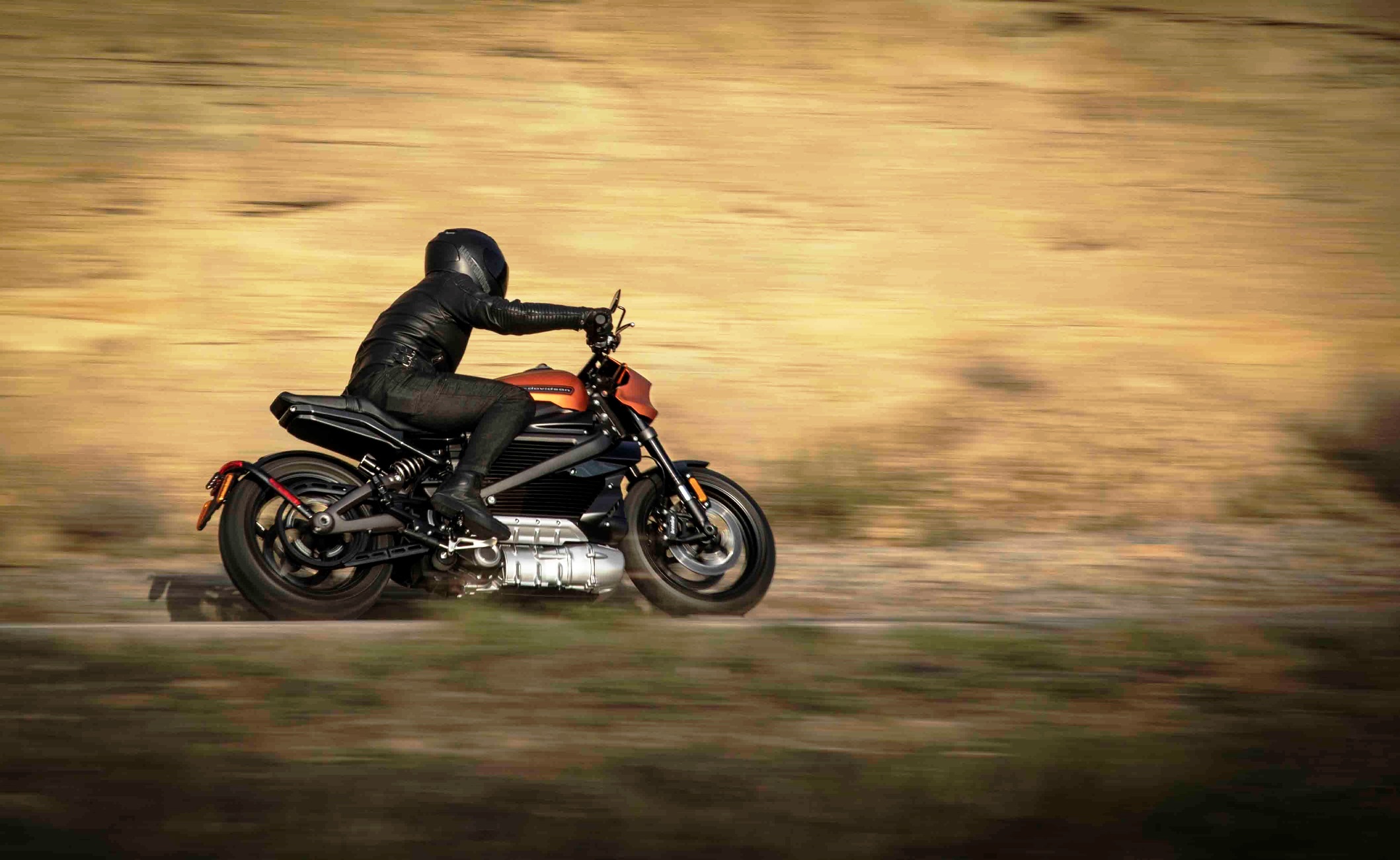 LiveWire Harley Davidson