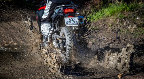 Nuevo Michelin Anakee Adventure