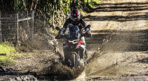 Nuevo Michelin Anakee Adventure