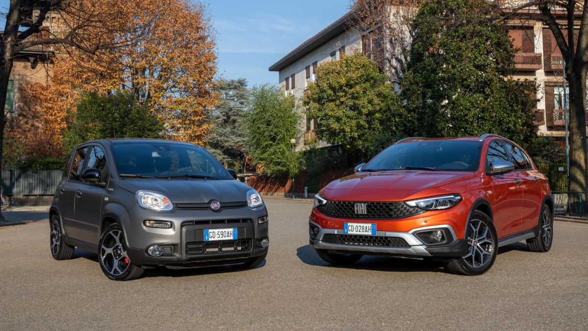 Fiat Panda Y Tipo Dos Modelos Ic Nicos Renovados Pruebas