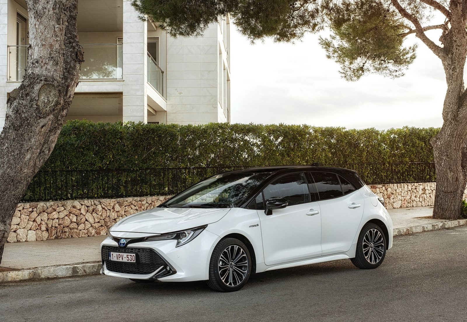 FAMILIARES COMPACTOS / Toyota Corolla