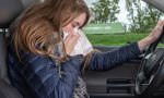Por qué conducir con alergia es más peligroso de lo que parece