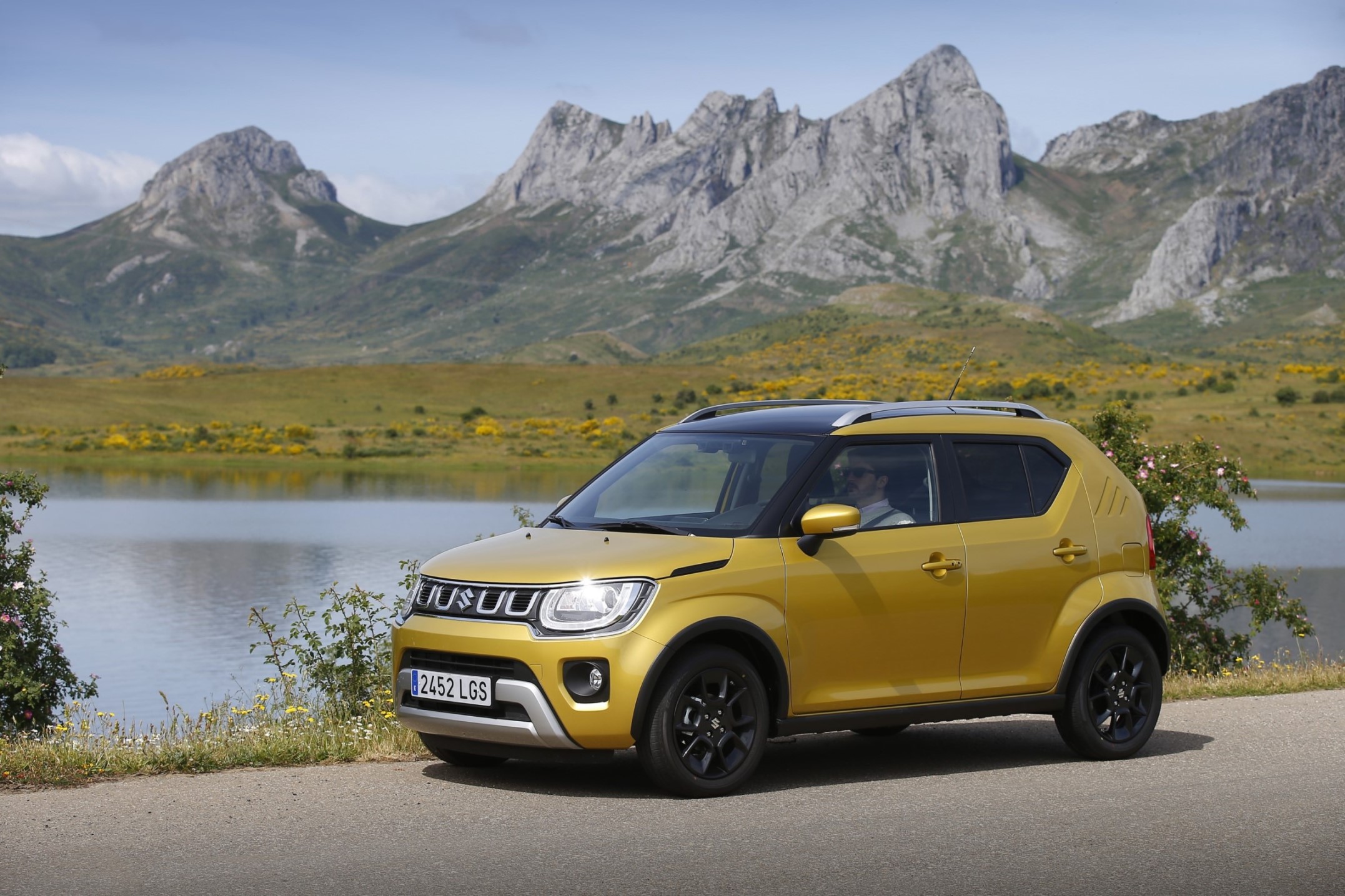Suzuki Ignis / Microhíbrido, SUV pequeño