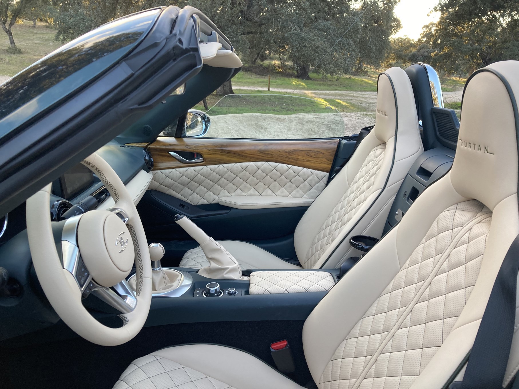 Hurtan Grand Albaycín