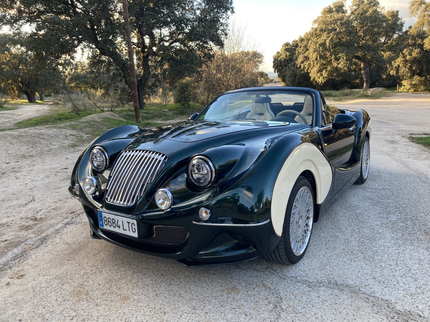 Hurtan Grand Albaycín