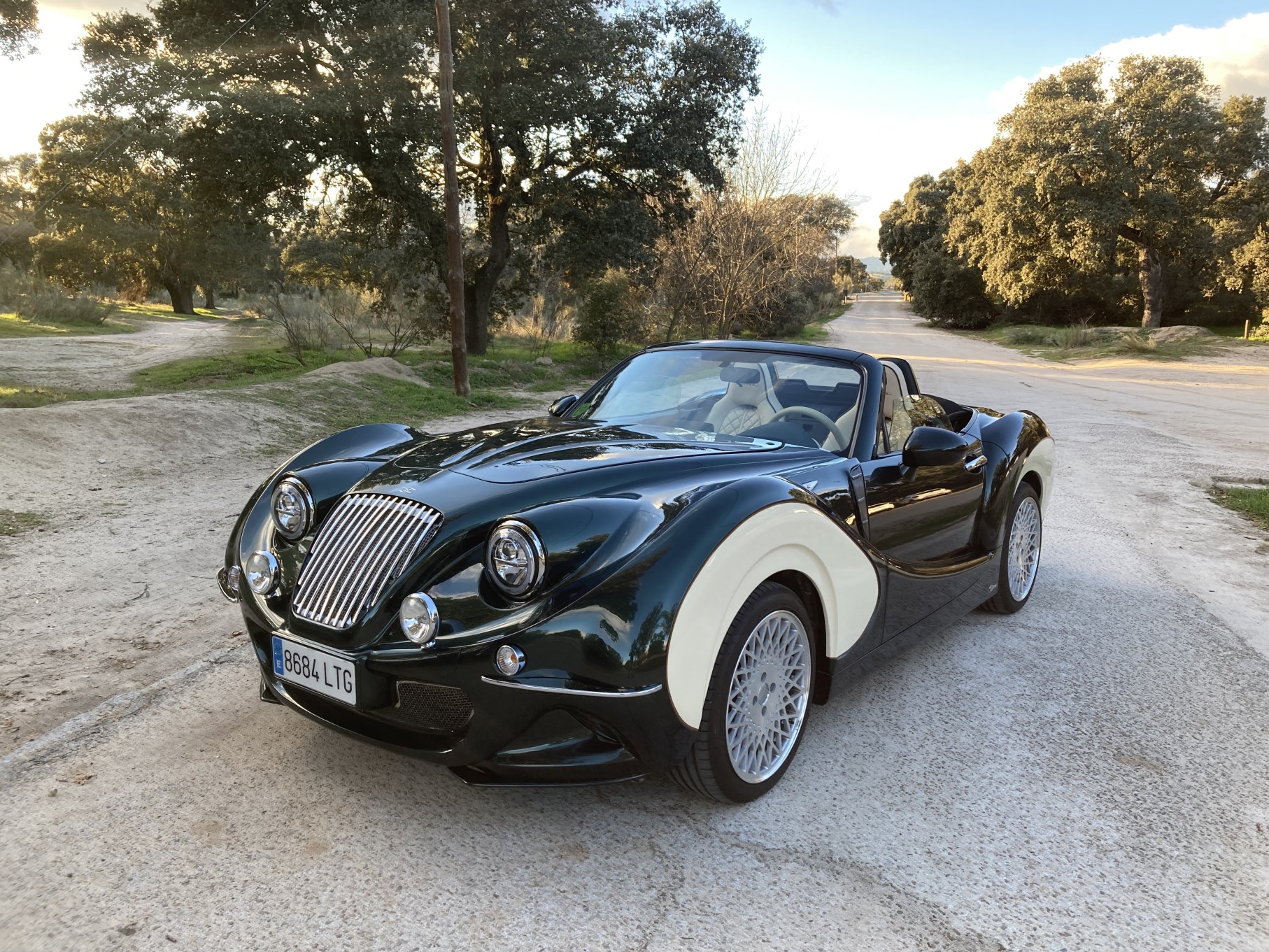 Hurtan Grand Albaycín