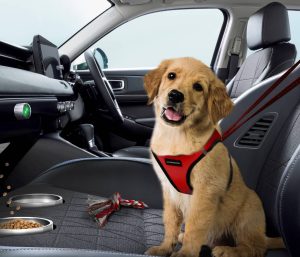 Asiento mascota Honda