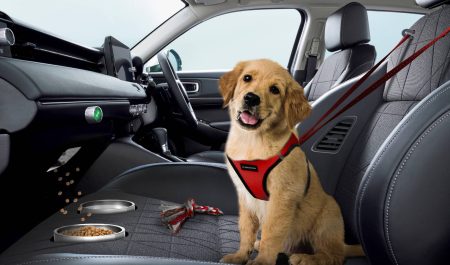 Asiento mascota Honda