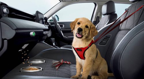 Asiento mascota Honda