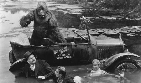 La ley que permite llevar un gorila en el asiento del copiloto