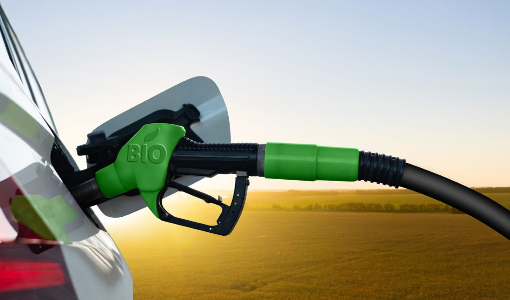 repostar biocombustibles