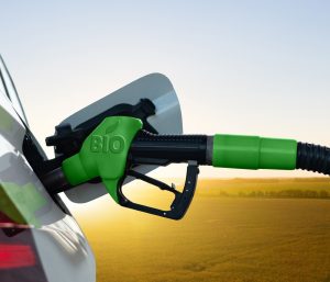 repostar biocombustibles