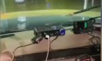 El vídeo de Twitter que muestra el interior de un coche cuando se inunda