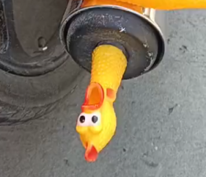 Pollo en el tubo de escape
