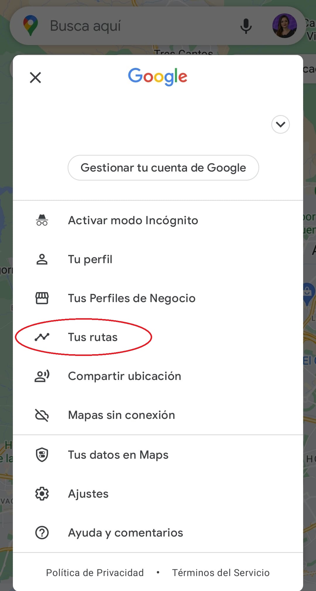 google maps tus rutas