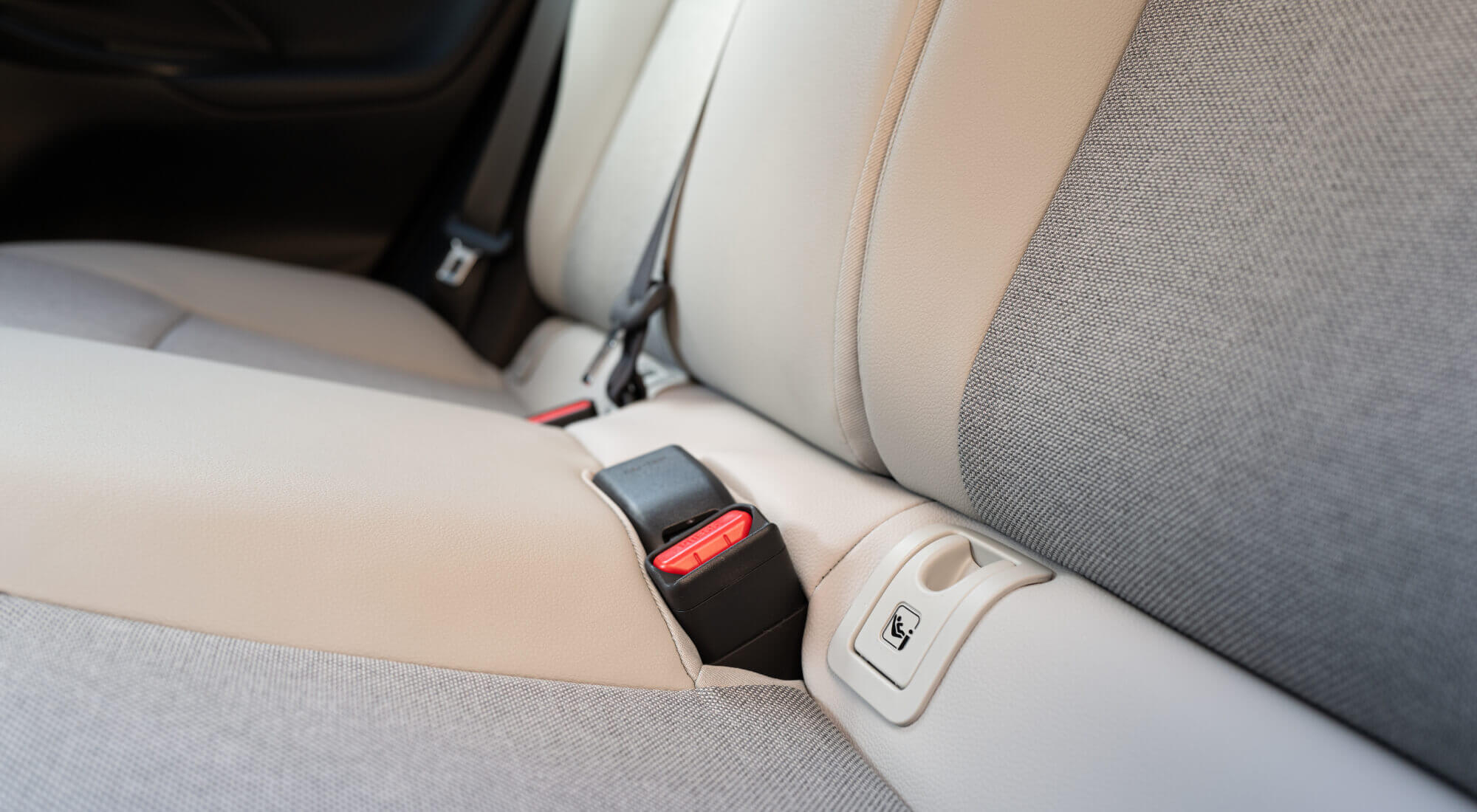 cinturon de seguridad