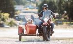 Ley de bienestar animal: ¿se puede llevar a un perro en la moto?
