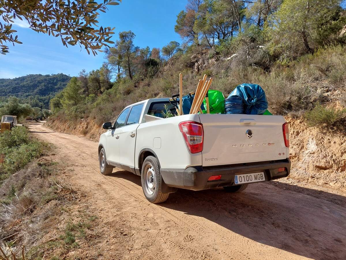 SsangYong Forest Bank