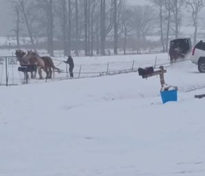 Cómo poner las cadenas en las ruedas del coche para conducir en la nieve de  forma sencilla: estos son los pasos a seguir, Actualidad