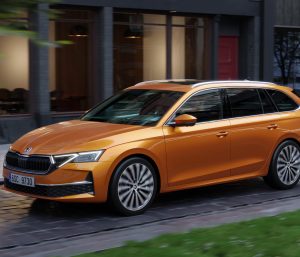 coches alcalde palma