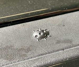 Uno de los huevos de pascua del Jeep Avenger