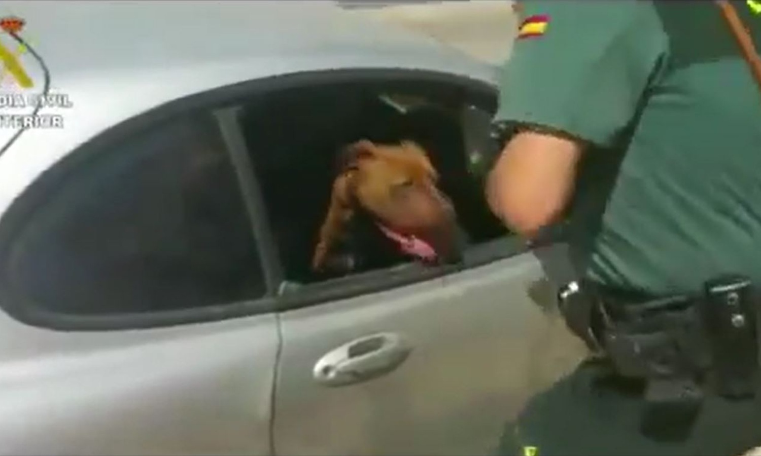 El rescate de un perro encerrado en un coche recuerda el peligro de las altas temperaturas