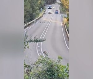 Adelantamiento temerario