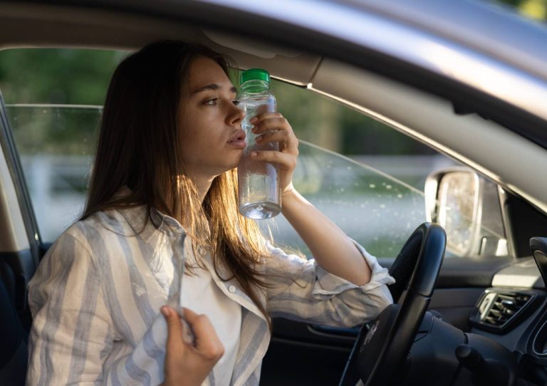 Calor coche verano