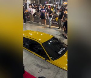 Coche más bajo del mundo