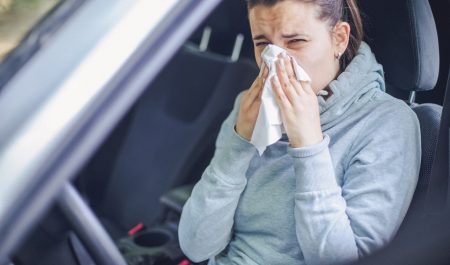 alergia en el coche