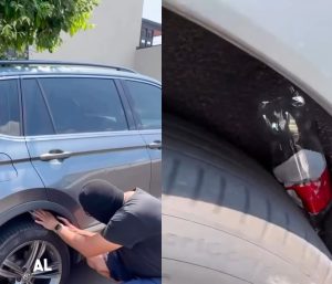 truco botella robo coche