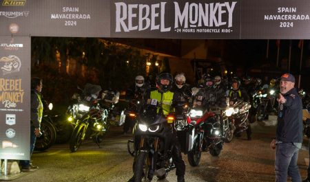 Rebel Monkey Ride