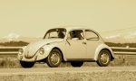 Día internacional del Volkswagen Escarabajo: la gran historia de un mito sobre ruedas