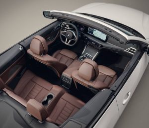 Carfax coches premium