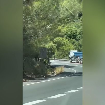 El conductor de un patinete eléctrico retrasa el tráfico en la famosa 'carretera de la muerte' de Málaga