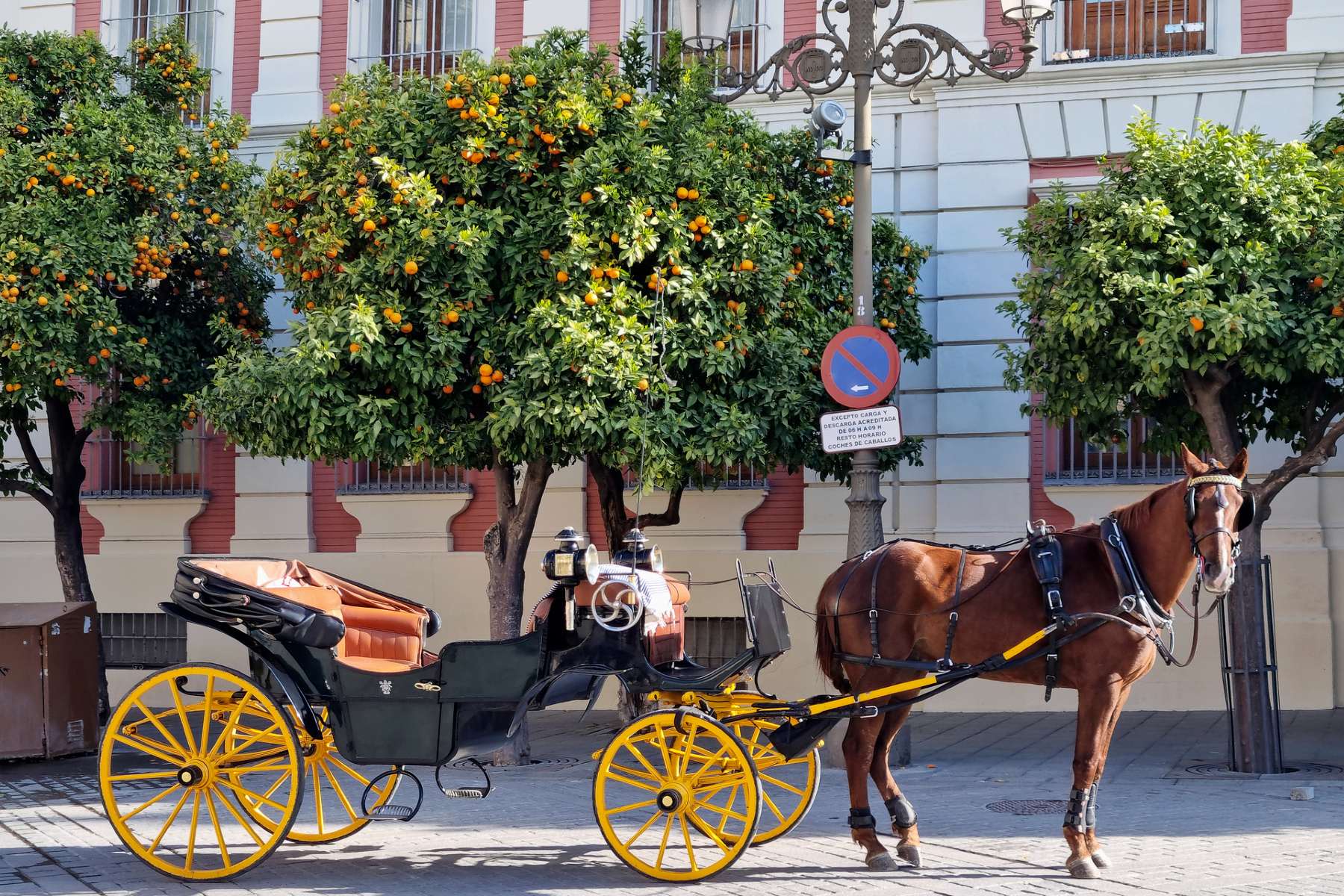 Carruajes eléctricos en lugar de coches de caballos: el turismo se adapta a la movilidad
