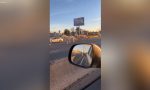 Una escena de película: se escapan casi 50 caballos e invaden una conocida carretera de Argentina