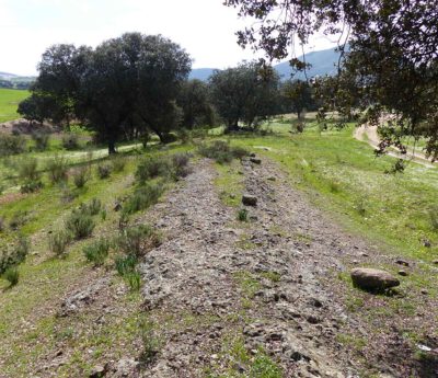 nueva carretera romana