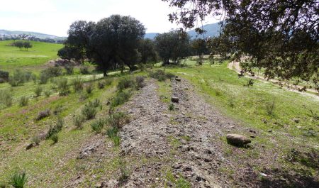 nueva carretera romana