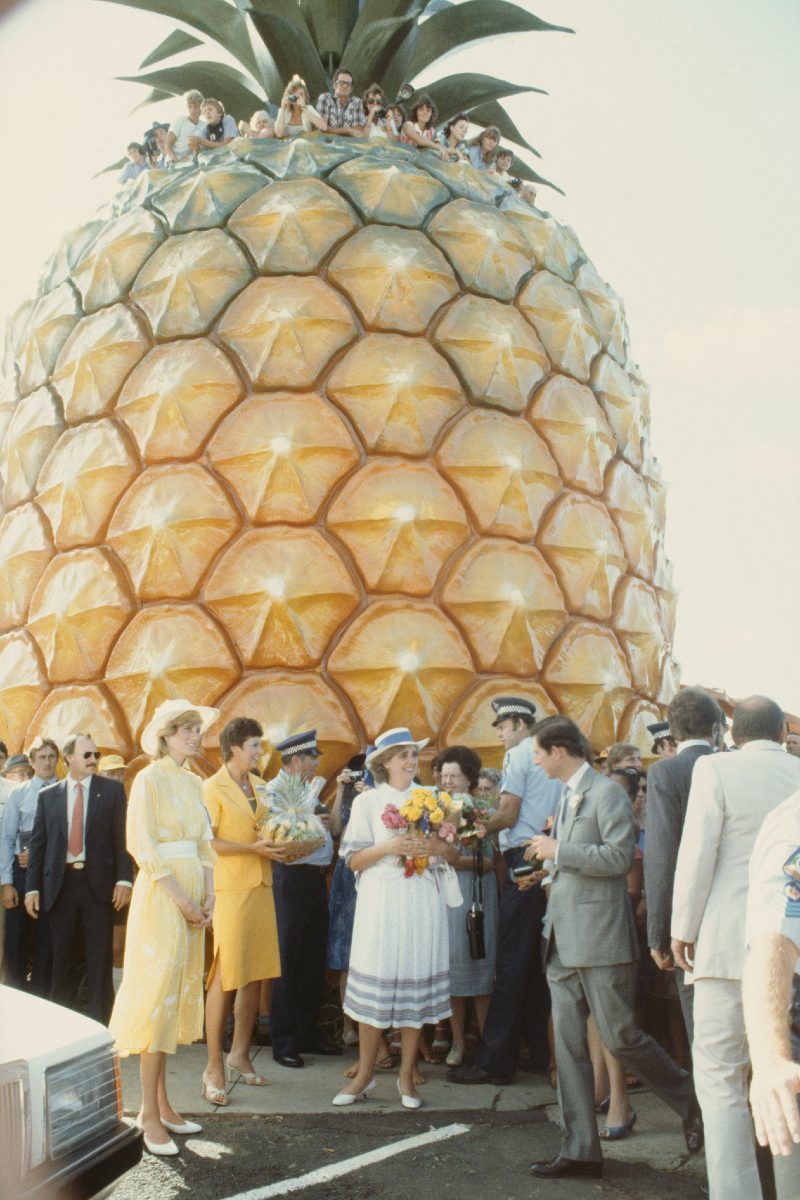 Gran Piña Australia