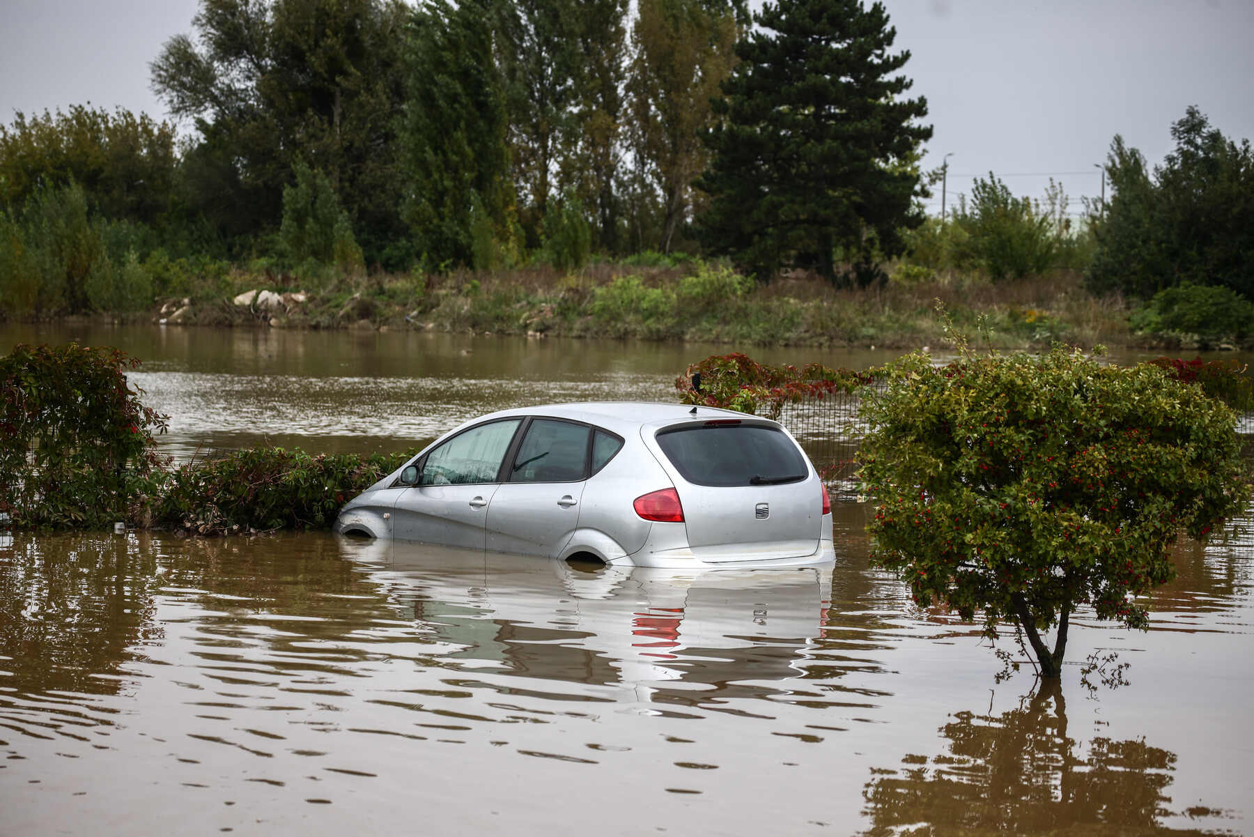 Daños inundación