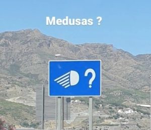 señal de tráfico medusa