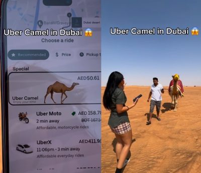 uber camel dubai