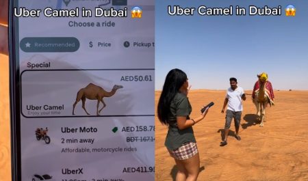 uber camel dubai