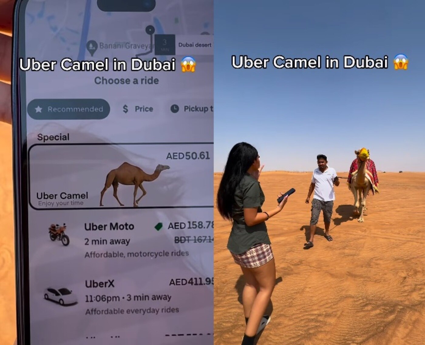 uber camel dubai