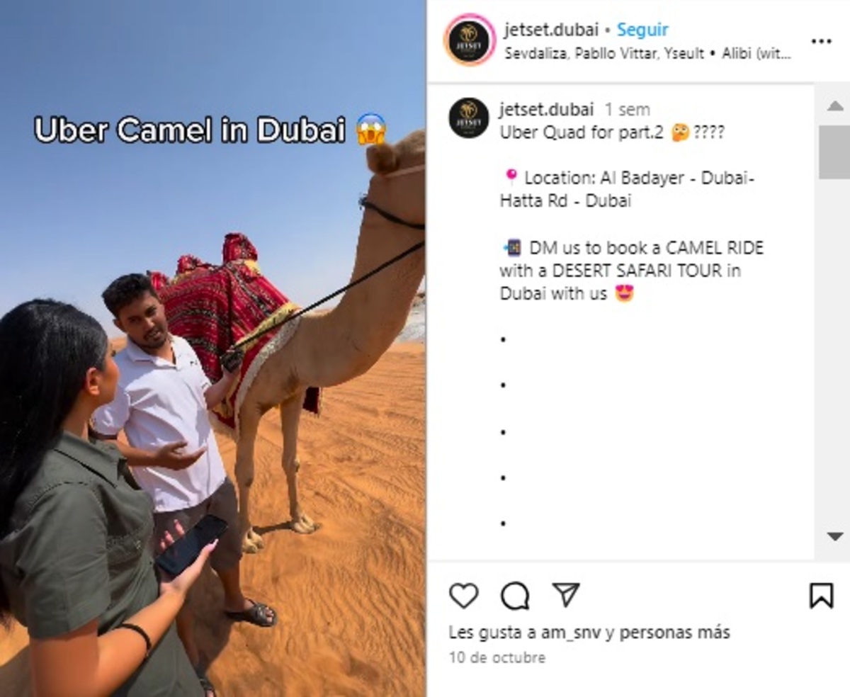 uber camel