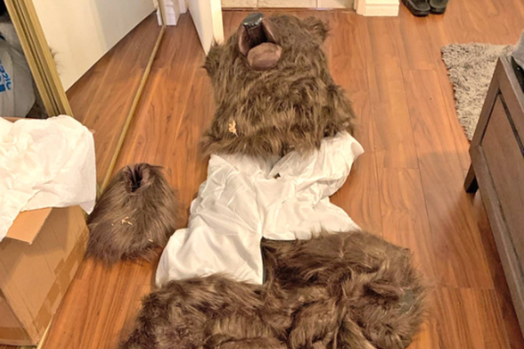 Disfraz de oso